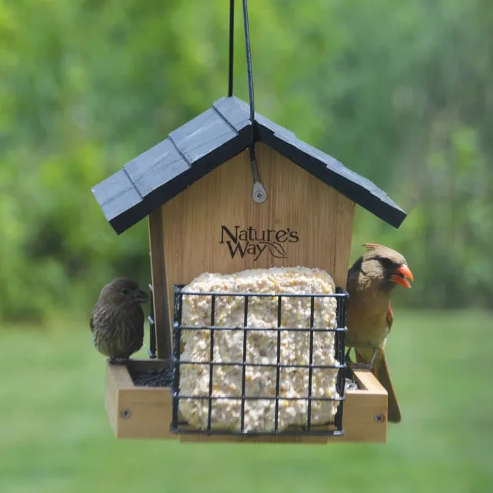 Bamboo 3QT Hopper Bird Feeder with Suet