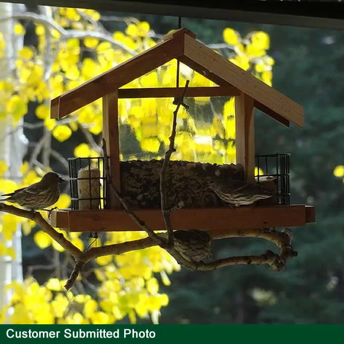Bird Feeder - Deluxe Chalet
