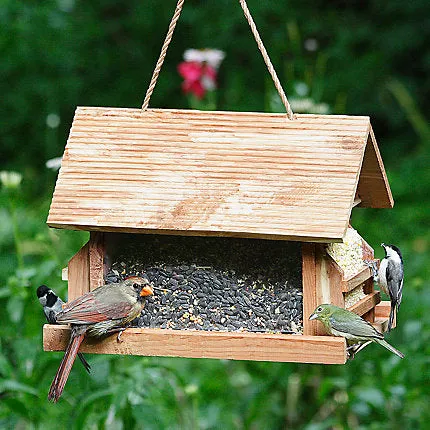 Bird Feeder - The Lodge