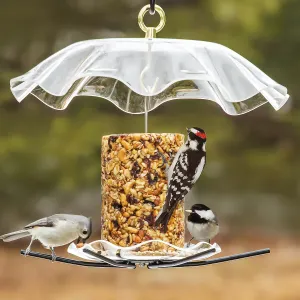 BirdsChoice Seed Cylinder Feeder