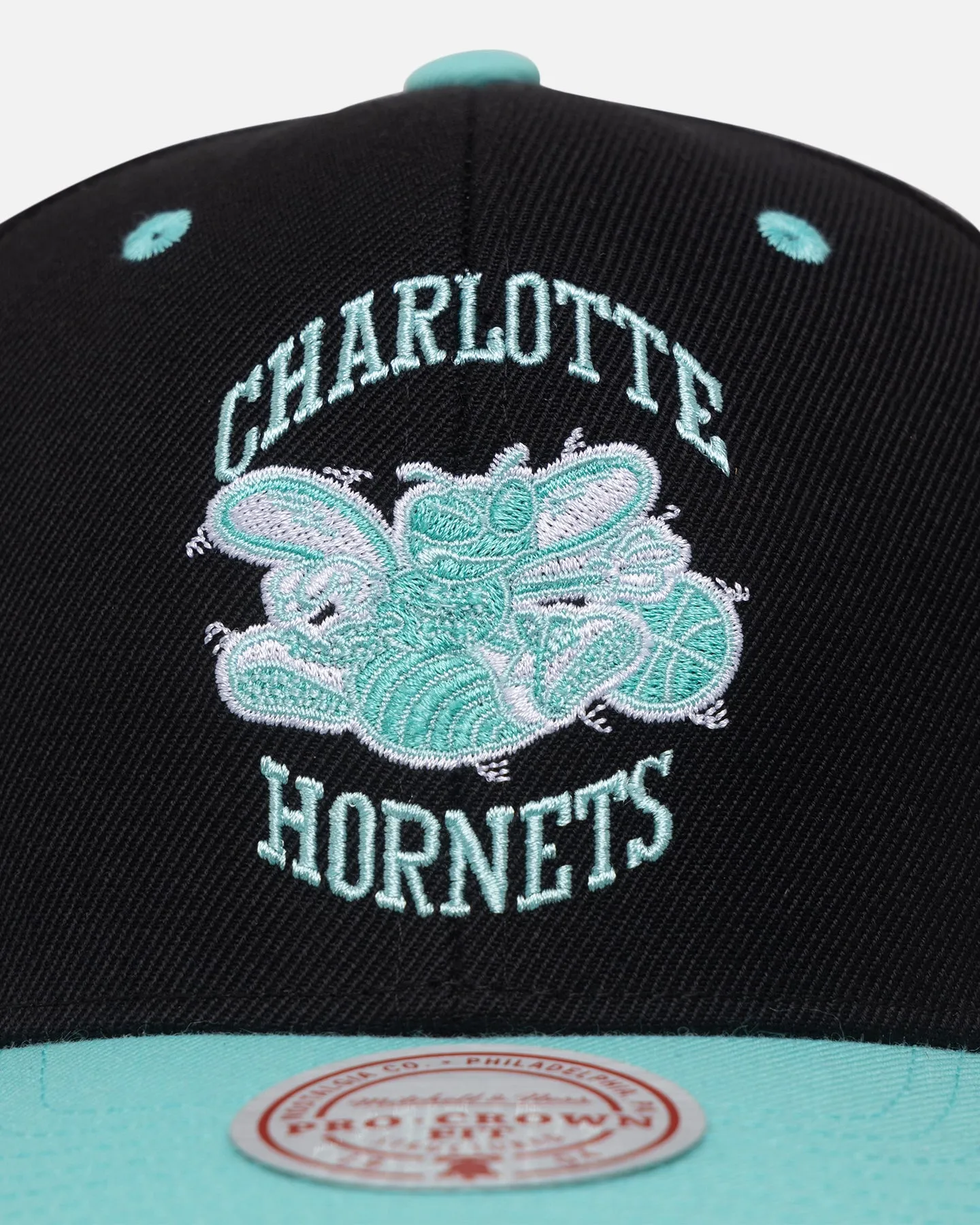 Mitchell & Ness Charlotte Hornets "Ice Blue" Script Origin Snapback Black/Ice Blue