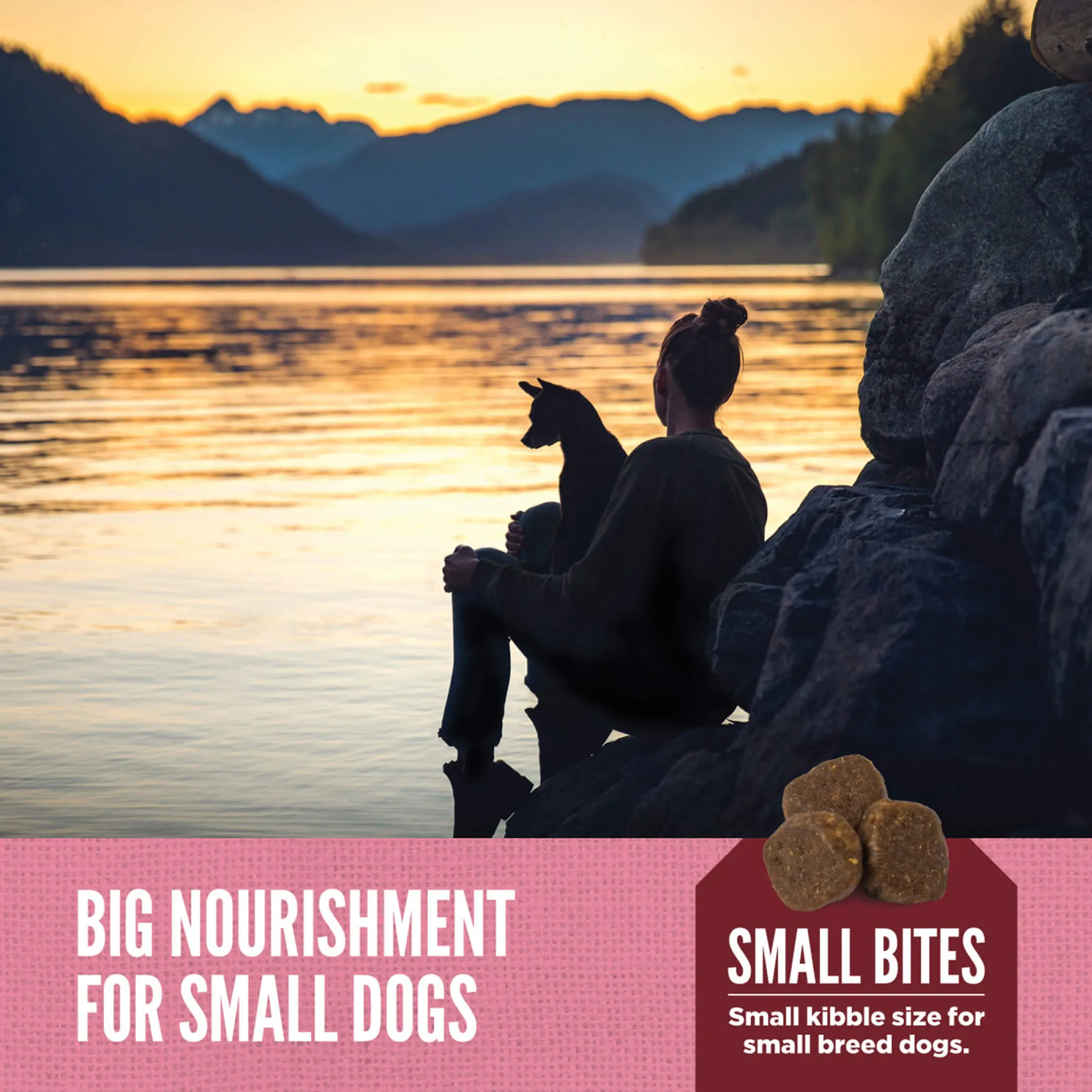Orijen Amazing Grains Small Breed Dog Food