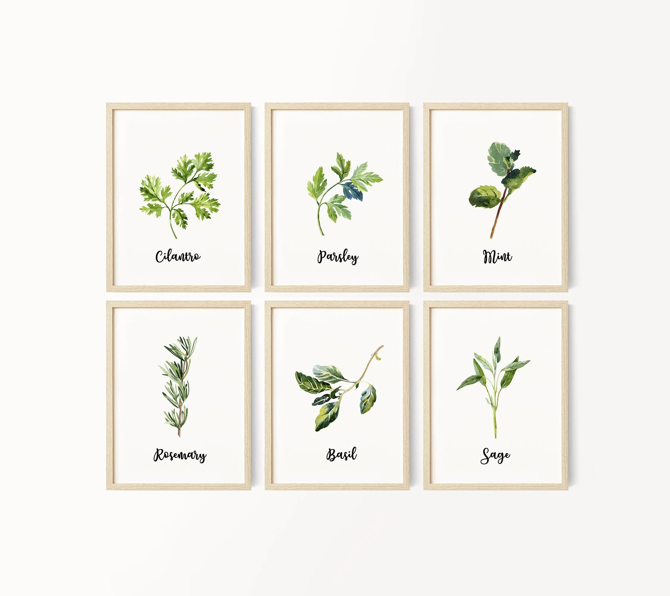 Set of 6 Kitchen Art Prints, Herb Prints, Kitchen Printables, Watercolor Herb Set Wall Signs, Oregano Sage Rosemary Basil Mint, Parsley, 091